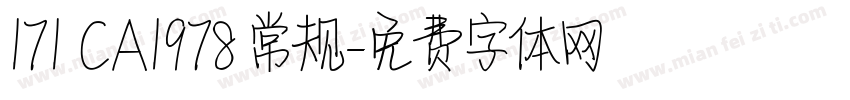 171 CA1978 常规字体转换